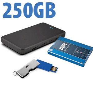 240GB OWC DIY Internal HDD to SSD Upgrade Bundle for Sony PlayStation 4 with USB Flash Drive, Tool & More