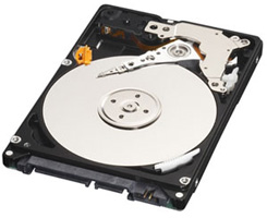 Western Digital 500gb Wd Black Hard Disk Drive